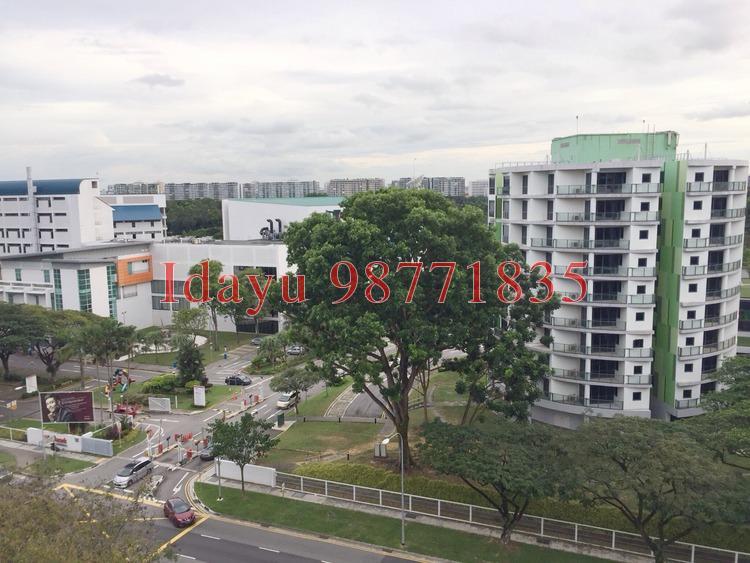 Blk 892A Tampines Avenue 8 (Tampines), HDB Executive #163483822
